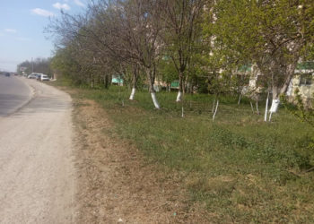 Curățenia necesită o muncă în echipă