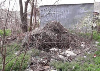 Dacă nu se iau măsuri acum, atunci când?