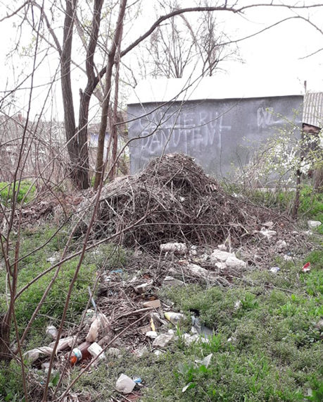 Dacă nu se iau măsuri acum, atunci când?