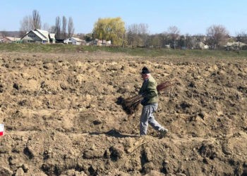 FOTO. Viața continuă, în pofida oricăror crize