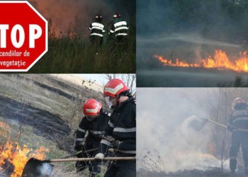 Obiceiul gospodarilor care ne afectează mediul înconjurător