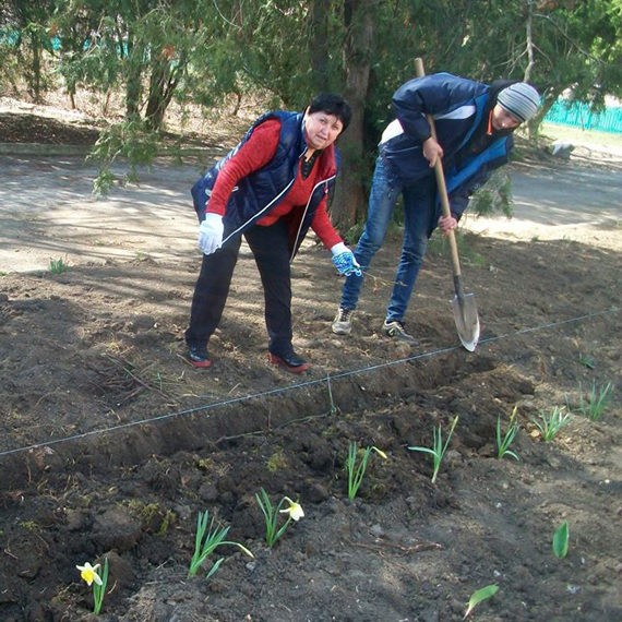 Alexeevca: Vor fi sădiți 2 mii de trandafiri