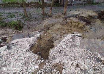 Pe lângă noi speranțe, ploaia a adus și pagube