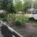 Bătrânii de pe Bernardazzi –  în așteptarea băncilor promise
