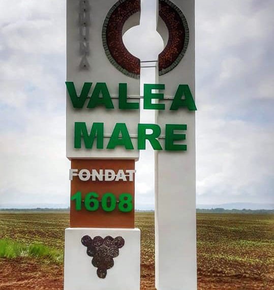 Comuna Valea Mare prinde culoare