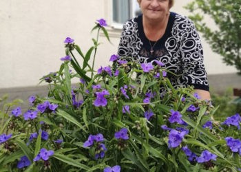 Dacă te doare sufletul  pentru satul natal –  fii primar