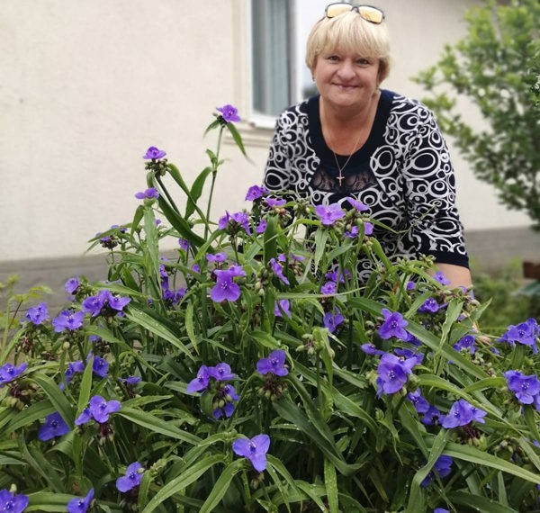 Dacă te doare sufletul pentru satul natal – fii primar