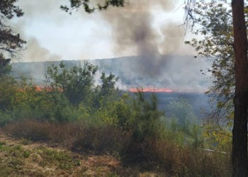 Deasupra municipiului Ungheni – cer negru de fum: Incendiu de vegetație în proporții deosebit de mari pe lacul Delia