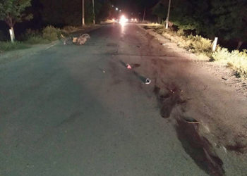 În zilele de odihnă în țară s-au produs 27 de accidente rutiere grave, soldate cu 6 morți și alte 32 de persoane cu traumatisme grave