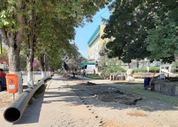 Unghenenilor deocamdată le este greu să evalueze importanța acestor proiecte