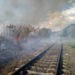 Îngrijorător! Numărul incendiilor de vegetație în raionul Ungheni –  DUBLU față de 2019