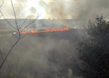Îngrijorător! Numărul incendiilor de vegetație în raionul Ungheni –  DUBLU față de 2019