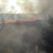 Îngrijorător! Numărul incendiilor de vegetație în raionul Ungheni – DUBLU față de 2019