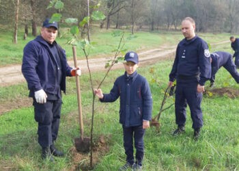 FOTO. Un parc din Ungheni e mai înverzit. Aici au fost plantați o sută de tei