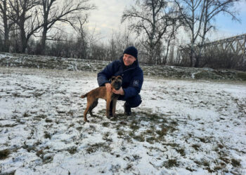 Echipa canină a Poliției de Frontieră se mărește