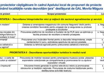 GAL „Movila Măgura” a desemnat câştigătorii microproiectelor de dezvoltare economică locală