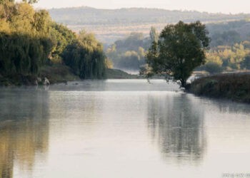 În Parlament s-a constituit o comisie care va evalua situația râului Nistru