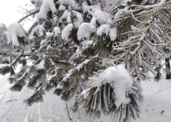 Vremea se răcește brusc. Temperaturi cu 10 grade mai scăzute față de normă