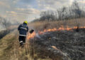 15 hectare de stuf au ars în Zăzulenii Noi, comuna Agronomovca