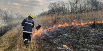 15 hectare de stuf au ars în Zăzulenii Noi, comuna Agronomovca