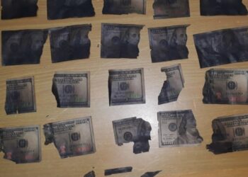 Doi minori sunt suspectați că au furat opt mii de dolari. O parte au ars