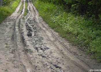 Rezervele de umezeală în sol ating în mare parte norma, Hidrometeo