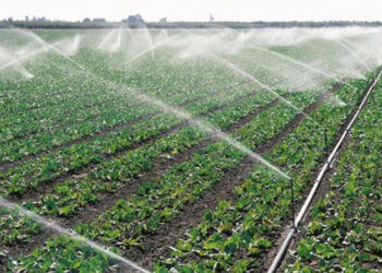 Apel pentru agricultori să depună cereri pentru subvenții în avans