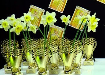 Premii pentru ungheneni