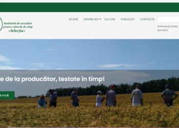 Inițiativă legislativă care va permite reducerea tarifelor la gazele naturale