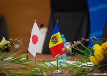 Reciclează și creează diferite ornamente din anvelope uzate