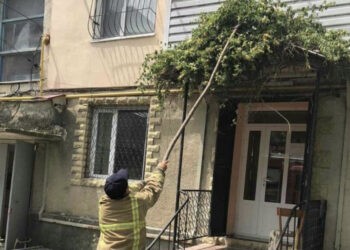 Salvatorii din Căușeni au intervenit pentru a evacua un șarpe de pe acoperişul unei frizerii