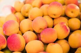 Caisele moldovenești, exportate pentru prima data în Ungaria