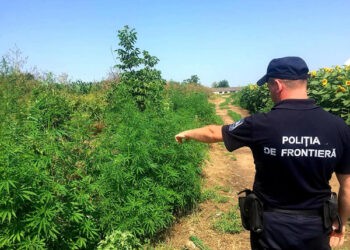 Operațiunea MAC – 2021 în plină desfășurare la frontiera de vest