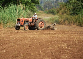 Moldovenii care muncesc sezonier în agricultură pe teritoriul Germaniei vor avea aceleași drepturi de muncă ca și lucrătorii locali