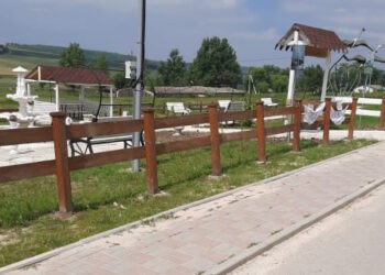 Ecaterina Cernat ne face din nou mândri