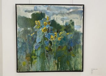 Stoianoglo nu intenționează să demisioneze și insistă pe nevinovăția lui Platon