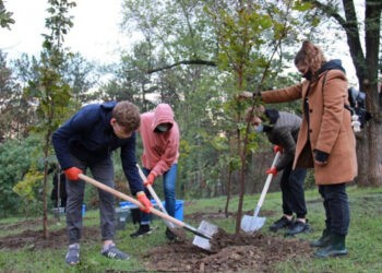 Iuliana Cantaragiu: Pe 13 noiembrie începe campania națională de plantare a puieților
