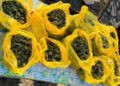 Reținuți în timp ce vindeau droguri. 15 kg de marijuana au fost ridicate de poliție