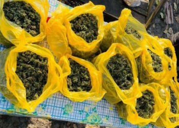 Reținuți în timp ce vindeau droguri. 15 kg de marijuana au fost ridicate de poliție