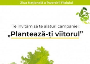 Olesea Stamate despre urgența evaluării lui Stoinoglo: dosarul poate dura prea mult
