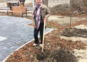 În Sinești au fost plantați 250 de puieți de diferite specii