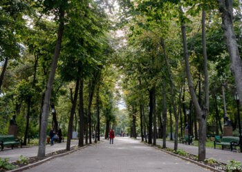 Construcțiile vor fi interzise pe teritoriul spațiilor verzi din localități