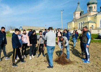 Mai multe instituţii de învăţământ vor primi în dar câte o livadă de alun