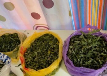 Tată și fiu, pe banca acuzaților pentru trafic de droguri