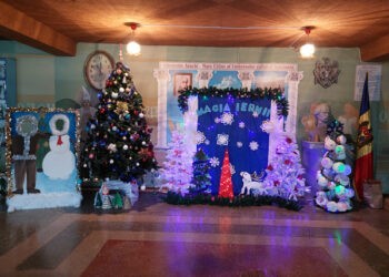 ,,Magia iernii” o puteți admira la LT ,,Gh. Asachi”