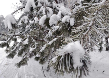 Transportatorii, din nou la protest. Andrei Spînu: Nu le înțelegem logica