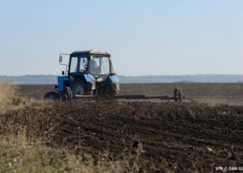 Producătorii agricoli cu două hectare de pământ vor putea solicita subvenții de la stat