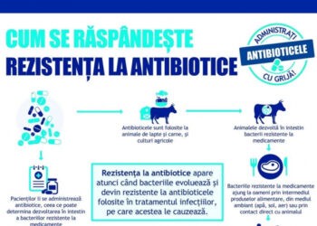 Administrarea antibioticelor în răceli și gripe provocate de virusuri e greșită, medic