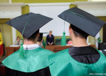 Se propune majorarea subvențiilor pentru înființarea plantațiilor viticole