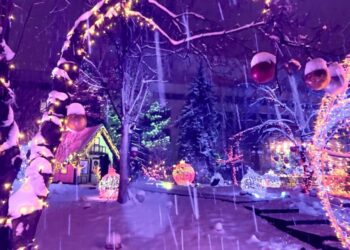 Concert de Crăciunul pe scena din scuarul Palatului Național